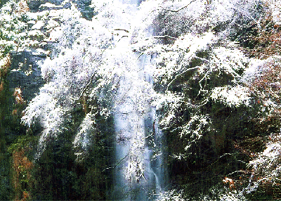 箕面の大滝