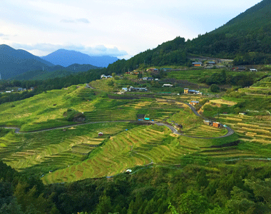 丸山千枚田