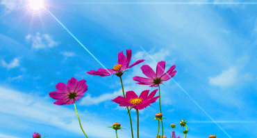 秋空